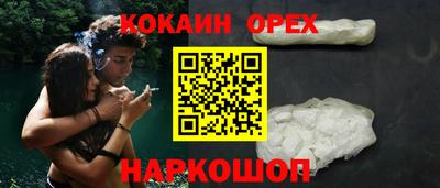 крисы Малгобек