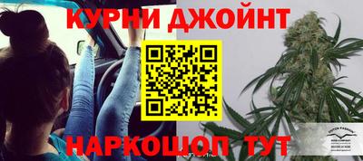 крисы Малгобек