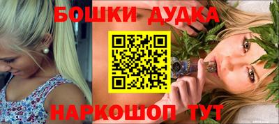 крисы Малгобек
