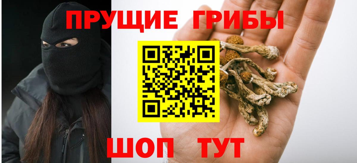 Чехов  Псилоцибиновые грибы мицелий  Вход с VPN 